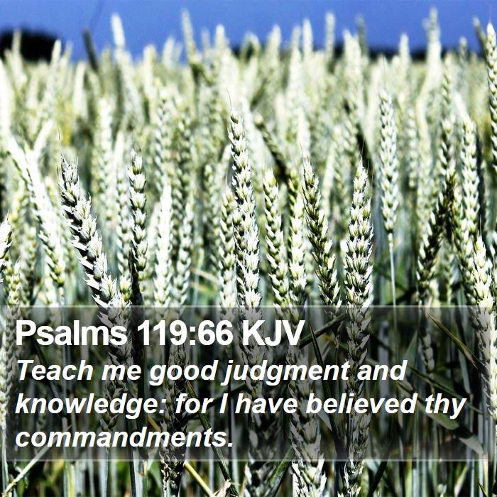 Psalms 119:66 KJV Bible Study