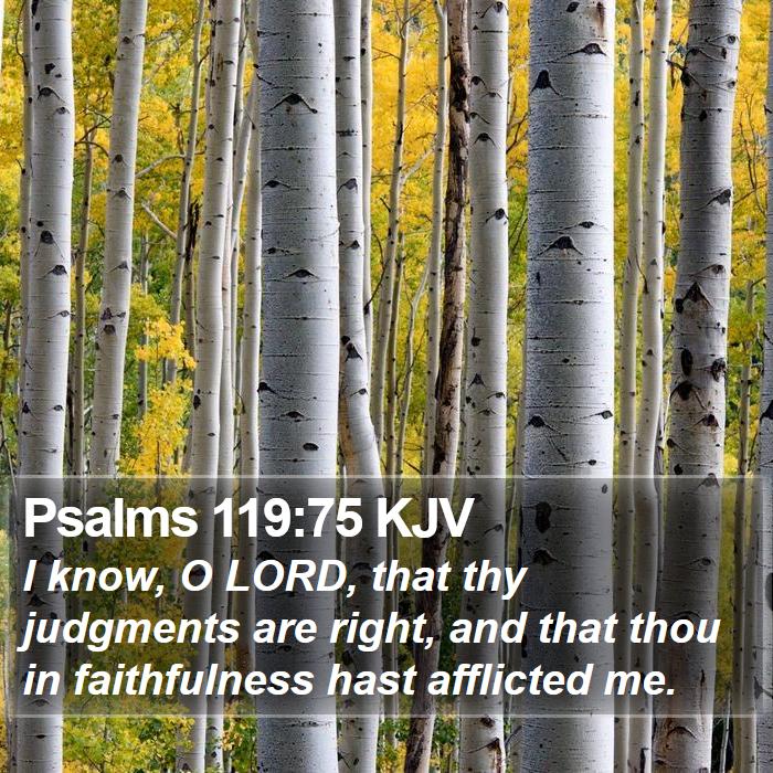 Psalms 119:75 KJV Bible Study