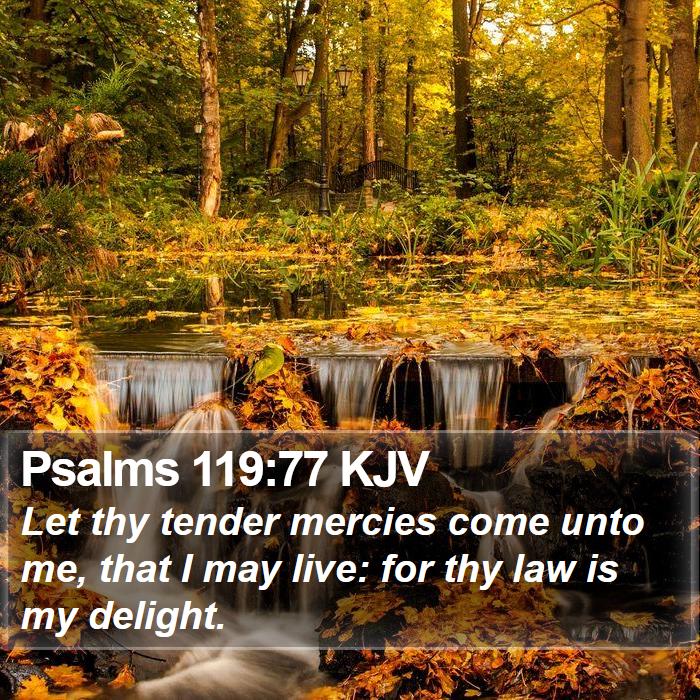 Psalms 119:77 KJV Bible Study