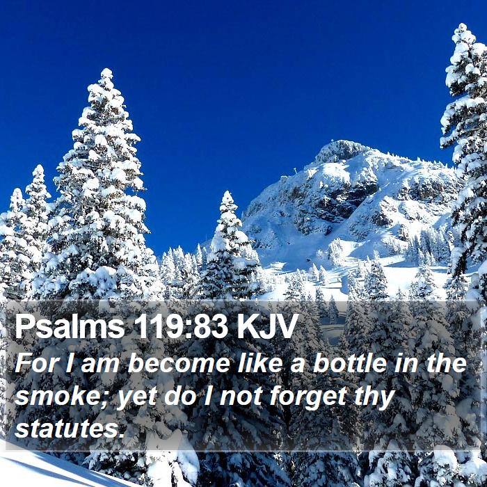 Psalms 119:83 KJV Bible Study