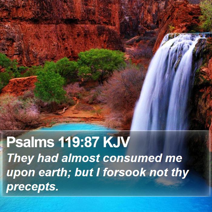 Psalms 119:87 KJV Bible Study