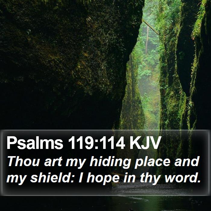 Psalms 119:114 KJV Bible Study