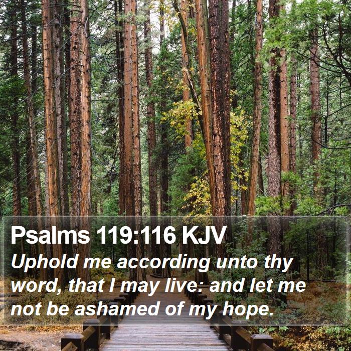 Psalms 119:116 KJV Bible Study