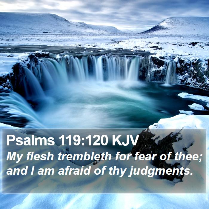 Psalms 119:120 KJV Bible Study