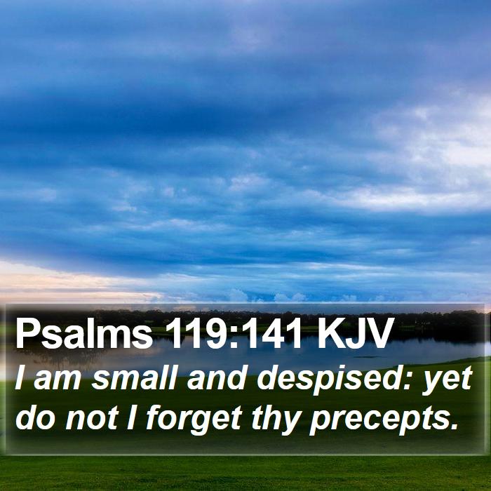 Psalms 119:141 KJV Bible Study