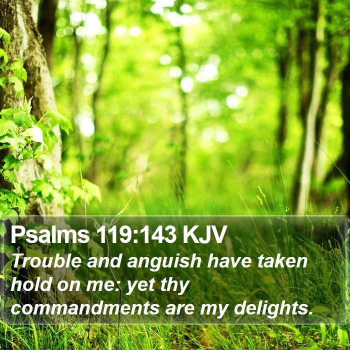 Psalms 119:143 KJV Bible Study