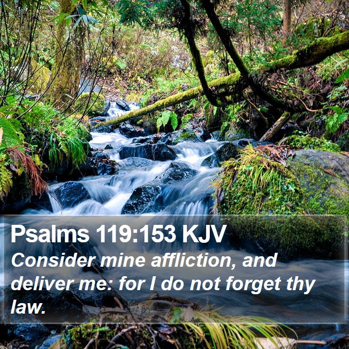 Psalms 119:153 KJV Bible Study