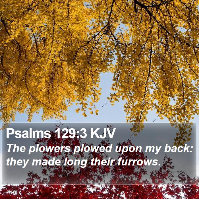 Psalms 129:3 KJV Bible Study