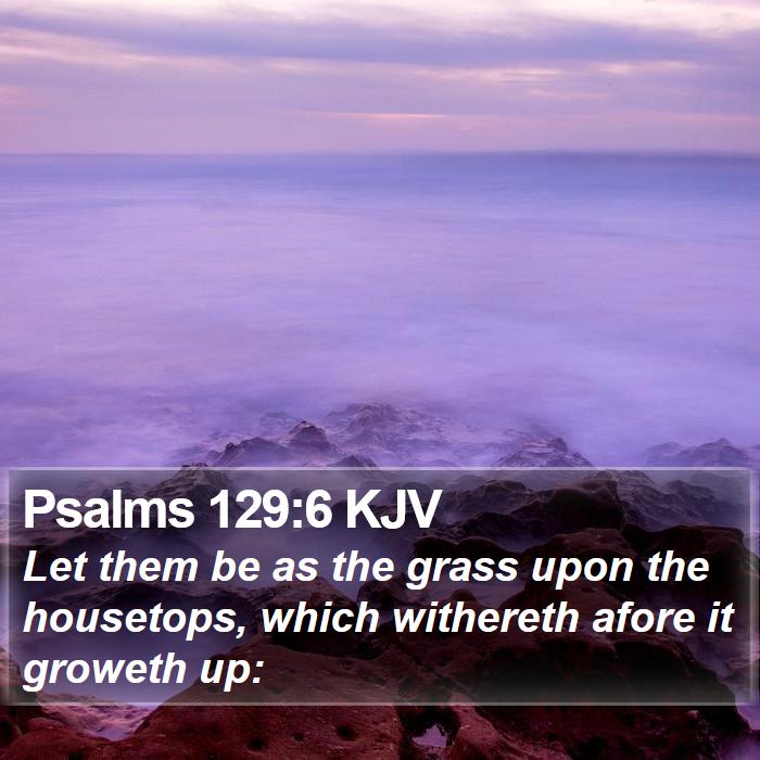 Psalms 129:6 KJV Bible Study