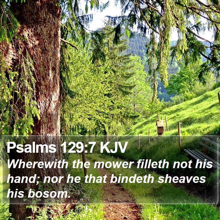 Psalms 129:7 KJV Bible Study