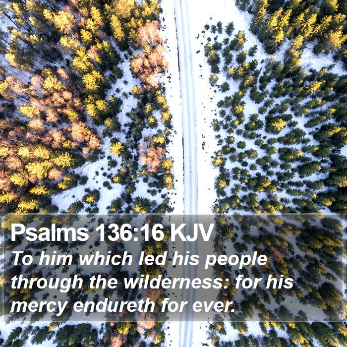 Psalms 136:16 KJV Bible Study