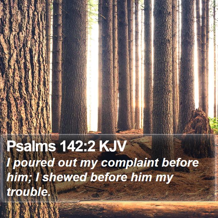 Psalms 142:2 KJV Bible Study