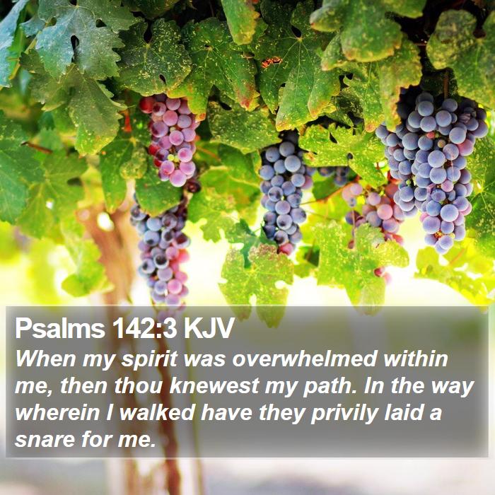 Psalms 142:3 KJV Bible Study