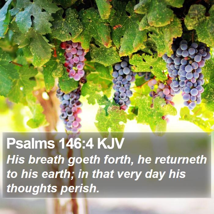 Psalms 146:4 KJV Bible Study