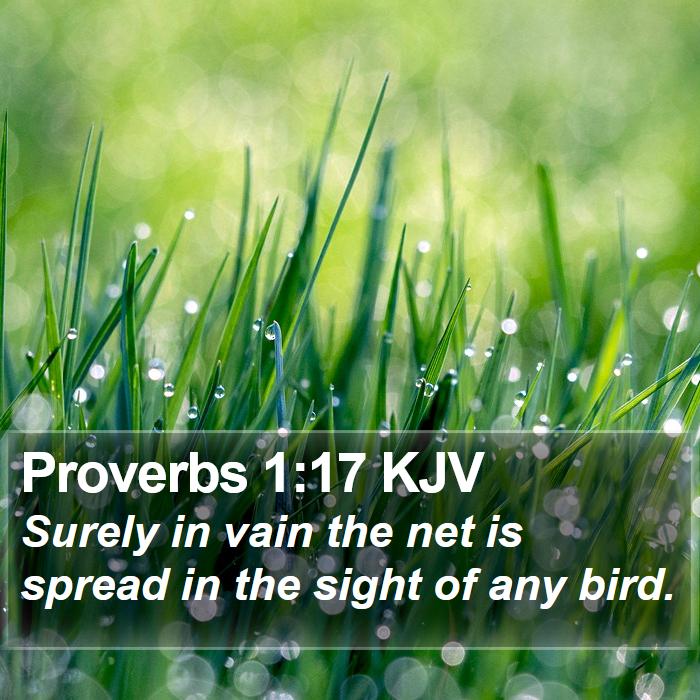 Proverbs 1:17 KJV Bible Study