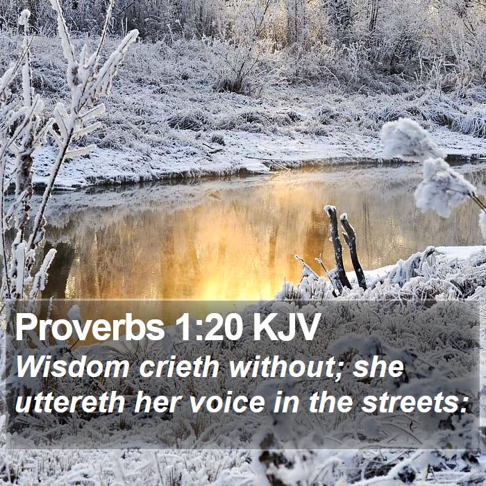 Proverbs 1:20 KJV Bible Study