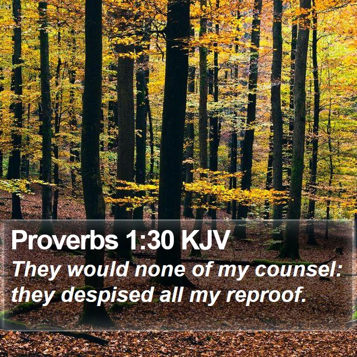 Proverbs 1:30 KJV Bible Study