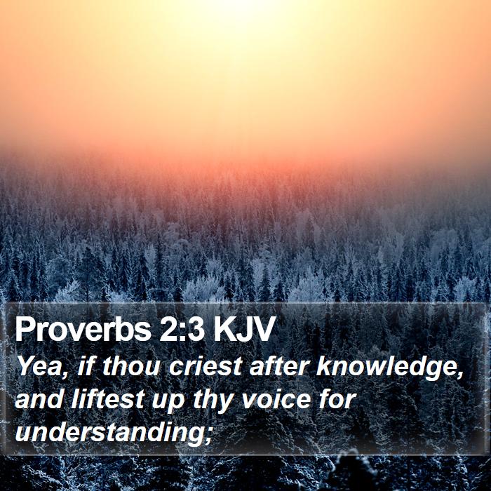 Proverbs 2:3 KJV Bible Study