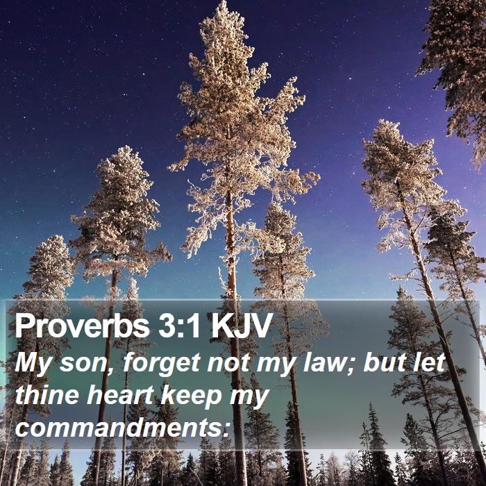 Proverbs 3:1 KJV Bible Study