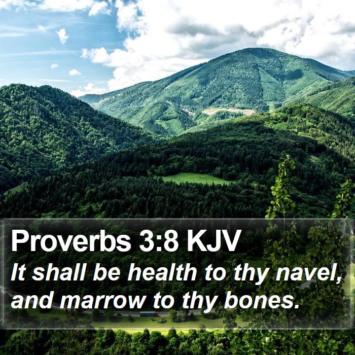 Proverbs 3:8 KJV Bible Study