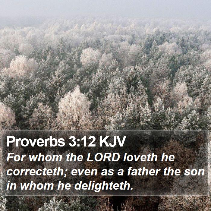 Proverbs 3:12 KJV Bible Study