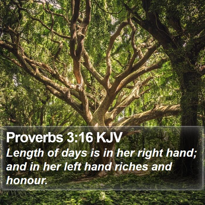 Proverbs 3:16 KJV Bible Study