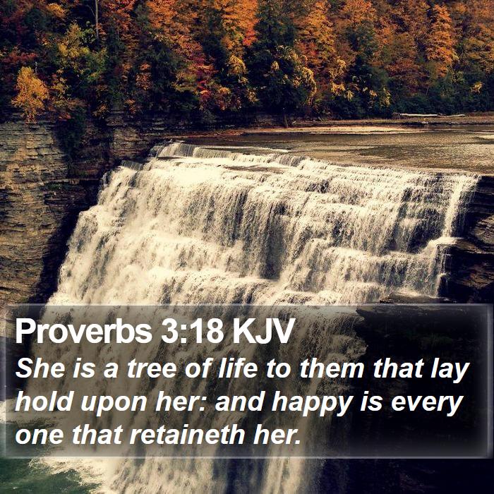 Proverbs 3:18 KJV Bible Study