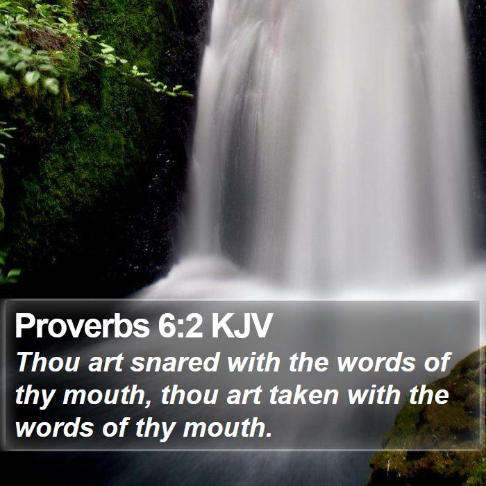 Proverbs 6:2 KJV Bible Study