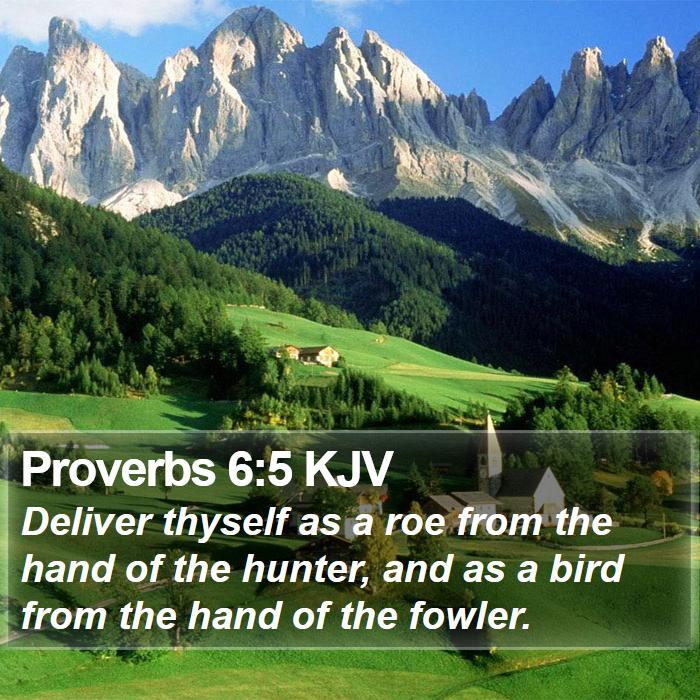 Proverbs 6:5 KJV Bible Study