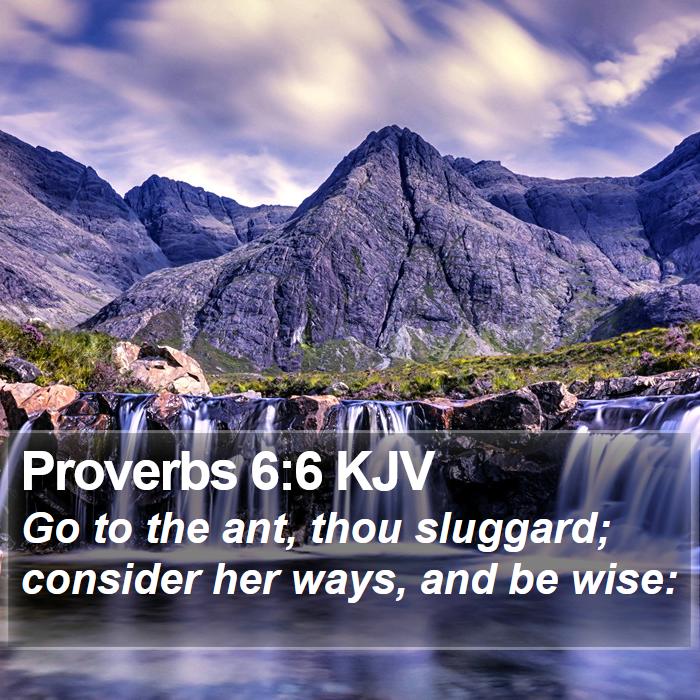 Proverbs 6:6 KJV Bible Study