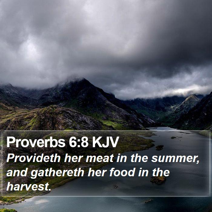 Proverbs 6:8 KJV Bible Study