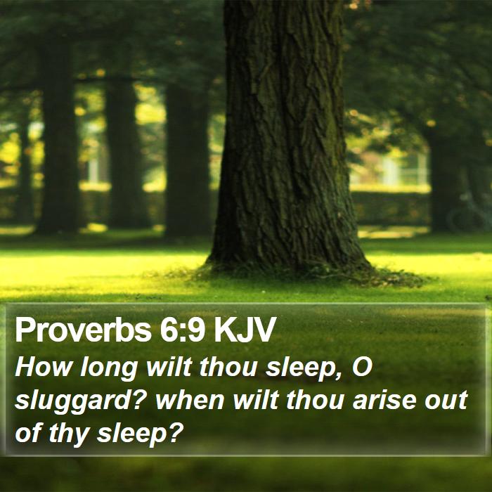 Proverbs 6:9 KJV Bible Study