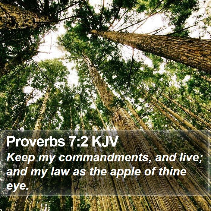 Proverbs 7:2 KJV Bible Study