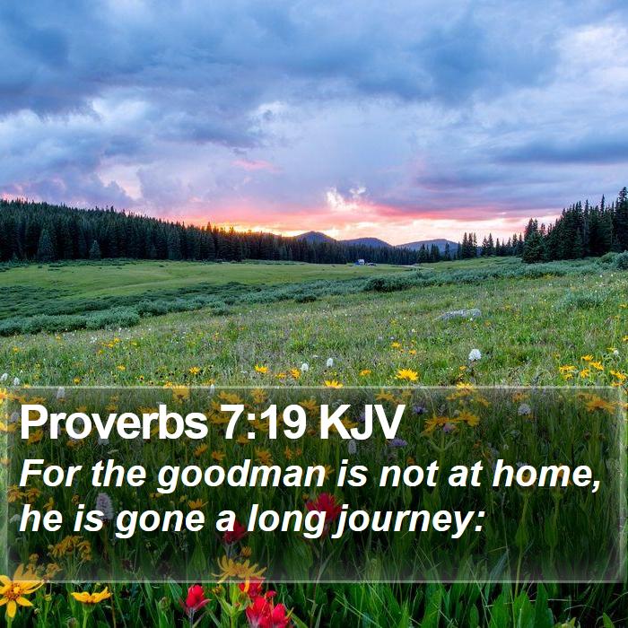 Proverbs 7:19 KJV Bible Study