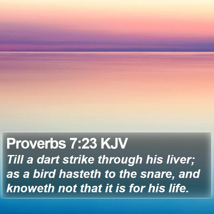 Proverbs 7:23 KJV Bible Study