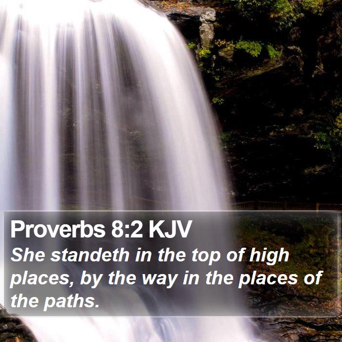 Proverbs 8:2 KJV Bible Study