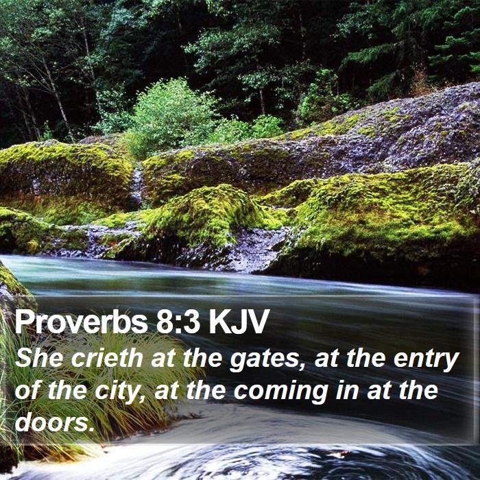 Proverbs 8:3 KJV Bible Study