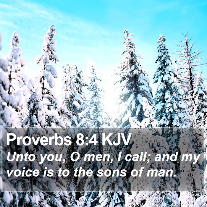 Proverbs 8:4 KJV Bible Study