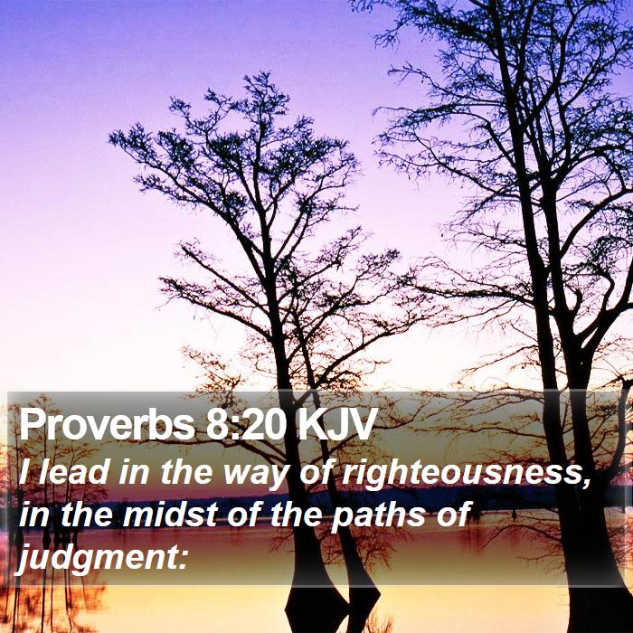 Proverbs 8:20 KJV Bible Study