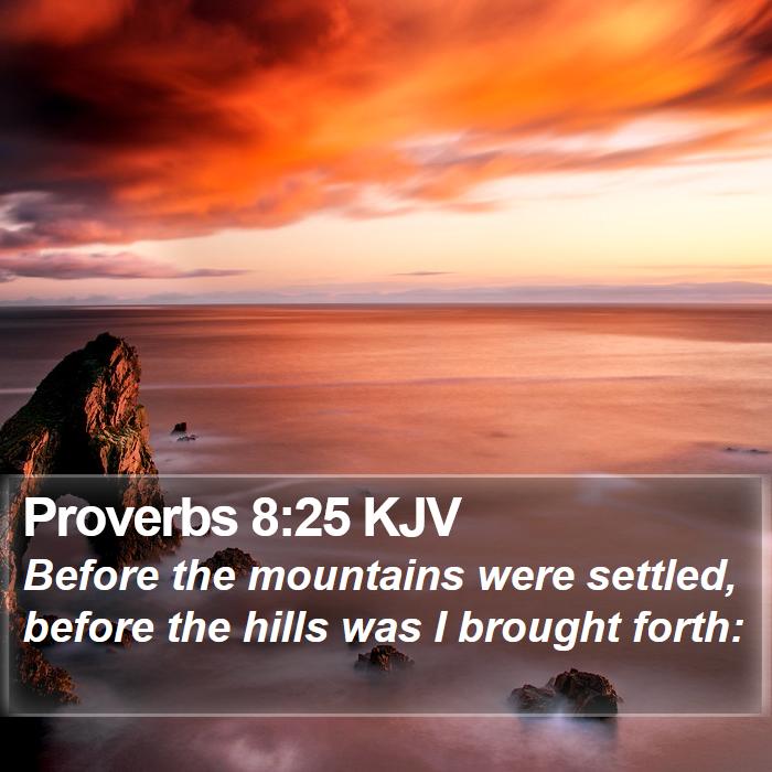 Proverbs 8:25 KJV Bible Study