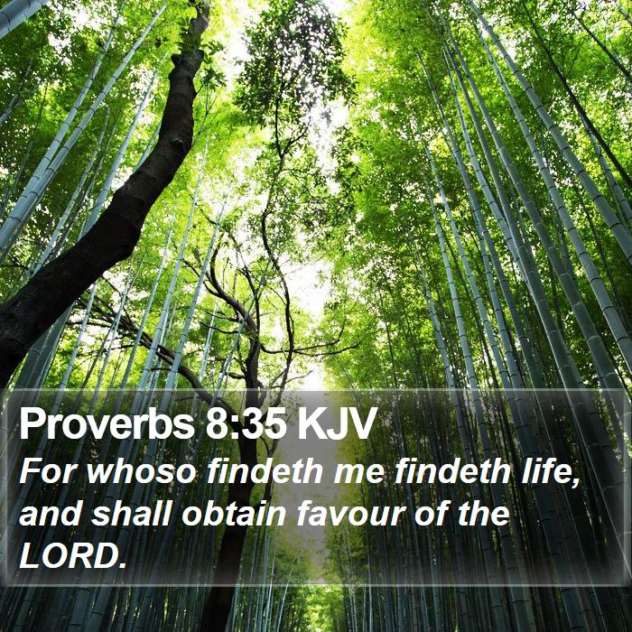 Proverbs 8:35 KJV Bible Study