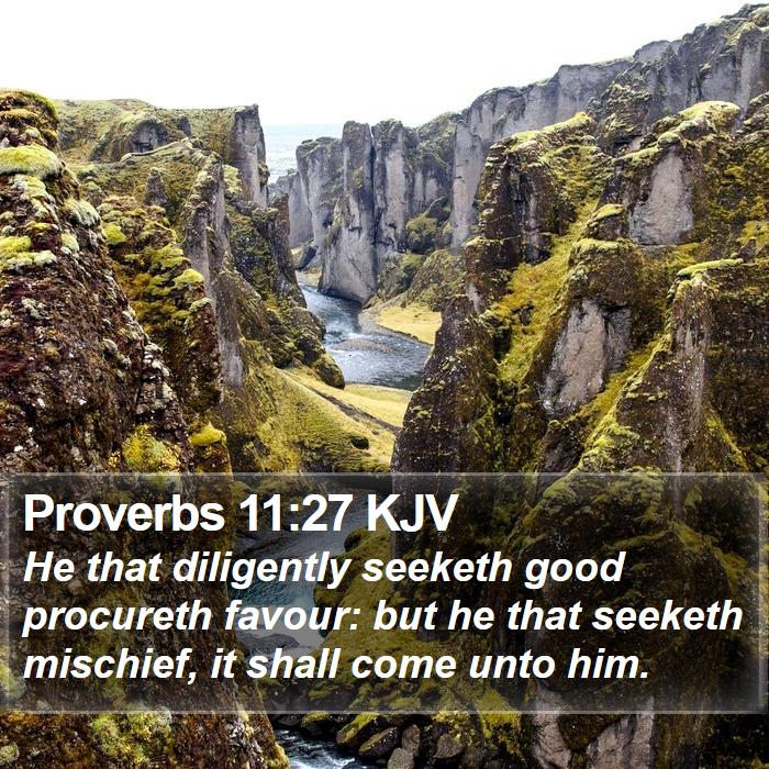 Proverbs 11:27 KJV Bible Study