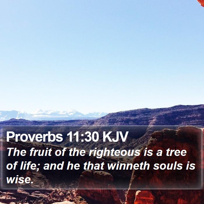 Proverbs 11:30 KJV Bible Study