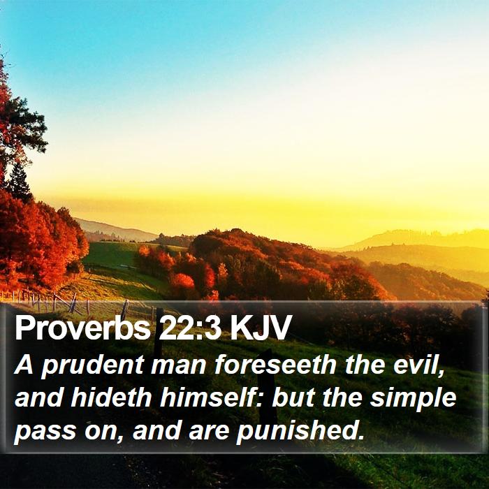 Proverbs 22:3 KJV Bible Study