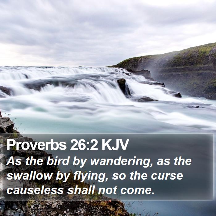 Proverbs 26:2 KJV Bible Study