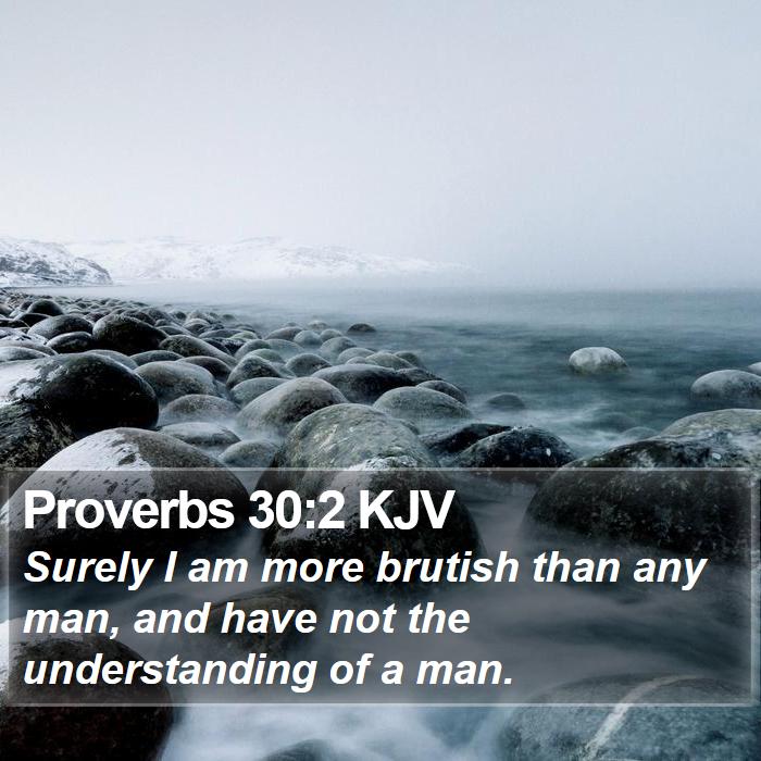 Proverbs 30:2 KJV Bible Study