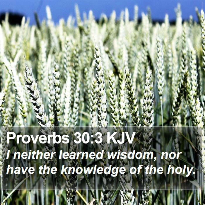 Proverbs 30:3 KJV Bible Study