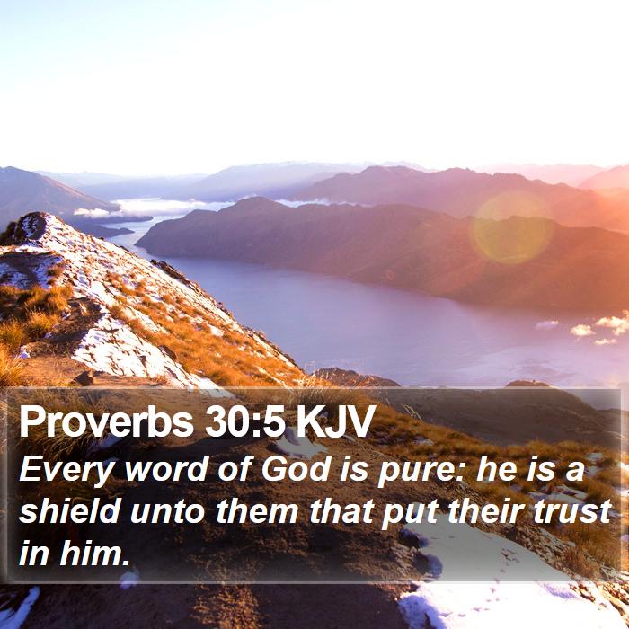 Proverbs 30:5 KJV Bible Study