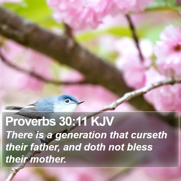 Proverbs 30:11 KJV Bible Study