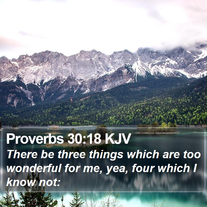 Proverbs 30:18 KJV Bible Study